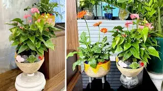 How to make simple plant pots from plastic bottles to help upgrade your living space