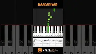 Naadaniyan Full Tutorial With Guitar Tab and Piano Notes