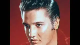 Elvis Presley   Don't be Cruel   Covered  by Mike Motta