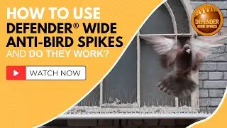 How to use Defender Wide Anti-Bird Spikes and Do They Work?