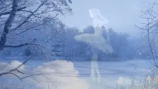 Волшебная музыка зимнего леса. Silent winter evening.