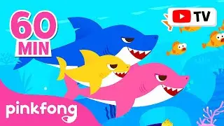 Baby Shark Dance More and More | Doo Doo Doo 60 Min | Baby Shark Non-Stop | Pinkfong Songs for Kids