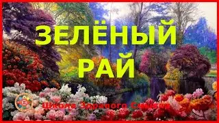 Зелёный рай. Лермонтов Владимир