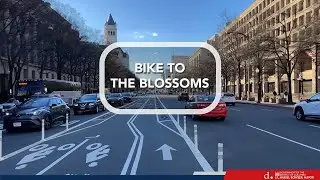 Bike To The Blossoms