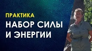 ГДЕ БРАТЬ ЭНЕРГИЮ?  Как Набрать Много Сил и Оздоровиться? Велимира. Энергия человека