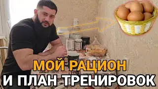 Еда и Фитнес: Рассказ о Моем Питании и Тренировках