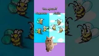 Симбочка! 🐱 