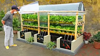 Farmer taught how to DIY aquarium and greenhouse to grow aquatic vegetables