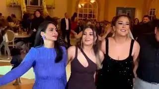 Kurdish Wedding Dance Video | GORGEOUS BEAUTIES Top 10 4K Video | Colourful Outfits & Lively Music