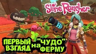 Slime Rancher😄Первый взгляд на Слайм ферму