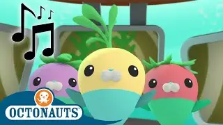 Octonauts - Fish Music | Songs | Cartoons for Kids | Underwater Sea Education