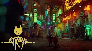 Играем в Stray