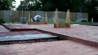 Whippet Flyball Training