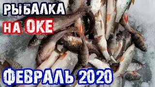 ЗИМНЯЯ РЫБАЛКА НА ОКЕ В ФЕВРАЛЕ 2020. Рыбалка на мормышку  Ловля плотвы и окуня