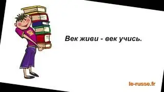 Пословицы об учении - Русский язык с удовольствием РКИ - Включите субтитры