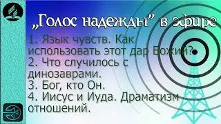 308. Язык чувств.  Что случилось с динозаврами.  Бог, кто Он?  Иисус и Иуда.