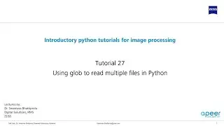 Tutorial 27 - Using glob to read multiple files in python