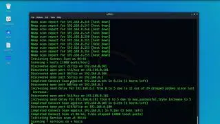 Zenmap,Nmap intense Scanning from terminal