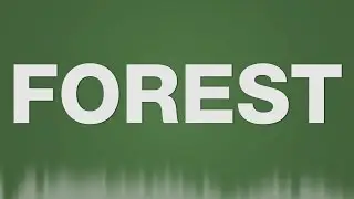 Forest SOUND EFFECT - Woods Ambience Background Wald SOUND EFFEKT SFX