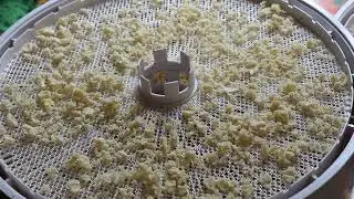Сублимированное картофельное пюре