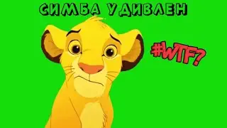 СИМБА УДИВЛЕН на ЗЕЛЕНОМ ФОНЕ / КОРОЛЬ ЛЕВ ФУТАЖ
