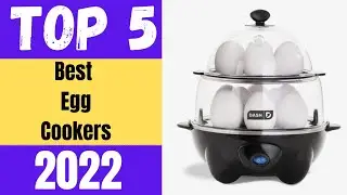 Best Egg Cooker 2023