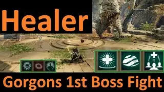 Hives of Gorgons 1st Boss Healer Point of View - Life Staff Void Gauntlet Build - ECHIDNA
