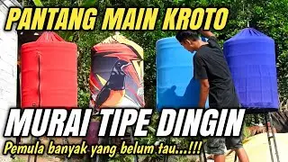 Betulkah MURAI TIPE DINGIN PANTANG MAIN KROTO Terjawab di sini‼️