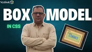 Box Model In CSS | Lecture 14  #css #webdevelopment #scalive