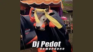 Dj Pedot Sewandono