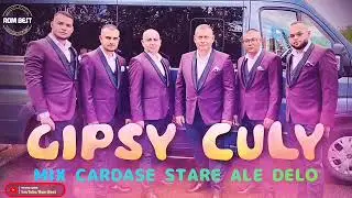 GIPSY CULY - MIX CARDASE ( STARE HITY ALE PECKY TOP) POTVRD ODBER🔔❤️