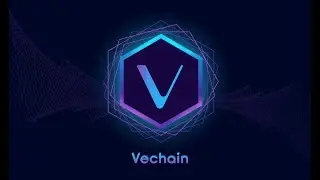 VeChains Dominance in Real-World Asset Tokenization: Showcased by BlackRocks BUIDL Fund Success