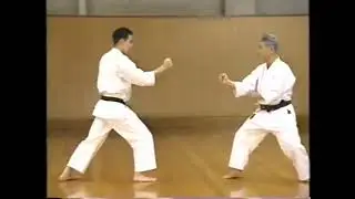 Вадо-рю каратэ.Wado ryu Karate.Kihon kumite #3