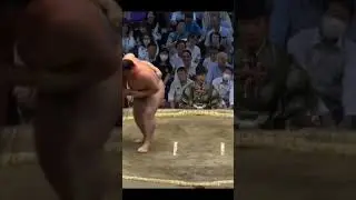 Эндо vs Кимбодзан Нагоя Басё 2024 сумо #japan #sport #sumo# #япония #сумо #mma #ufc #wwe