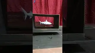 hologram from laptop