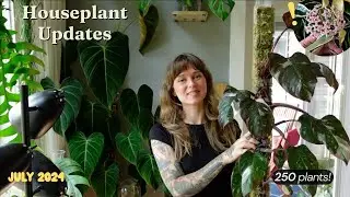 🌿 walk through my plants with me | spidermite summer continues, blooms, & big leaves