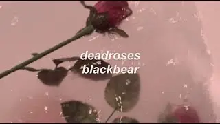 deadroses // blackbear (lyrics)