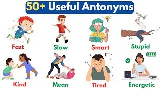 50+ Antonym Words | Antonyms in English | Opposite Words | English Vocabulary