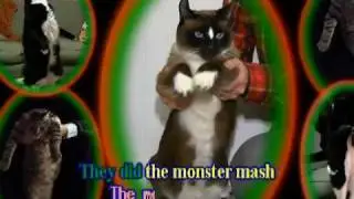 Monster Mash (Kitty Cat Scaryoke)