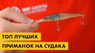 Лучшие приманки на судака | Обзор видов, и топ самых уловистых приманок