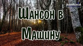 ШАНСОН В МАШИНУ 2024 #54 💃 Шансон 2024 Новинки 🔊 Russian Shanson 2024 🕺 Лучшие Песни Шансона 2024 😛