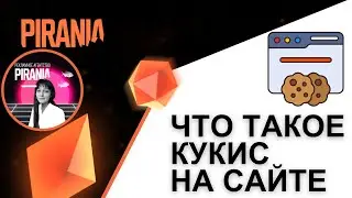 Что такое кукис на сайте? Простое объяснение