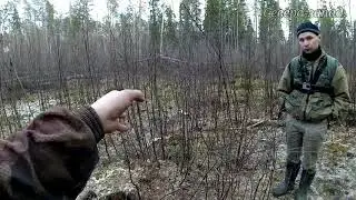 ХЛАДНОКРОВНОЕ УБИЙСТВО ЛОСЯ! ВОЛКИ БЕСПРЕДЕЛЯТ! СЛЕДЫ ПРЕСТУПЛЕНИЯ!