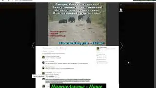 [НН] ТОЛЬКО ВПЕРЁД! про=медведей=и=заездки