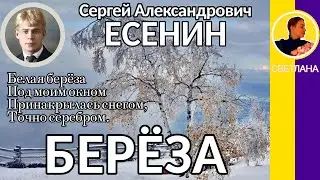 Берёза. Есенин С. А. Белая берёза Под моим окном Принакрылась снегом, Точно серебром.