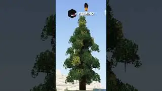 10 days to go before Christmas! | Christmas Tree #shorts #minecraft