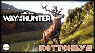 WAY OF THE HUNTER - ПРОХОЖДЕНИЕ. КОТТОНВУД. СТРИМ. #2