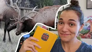 🦌 Please Don't Get Yourself Killed On My Trip To Yellowstone 🎄 Vlogmas 2021 • Day 11