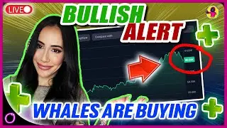 BULLISH ALERT: Crypto Whales Buying!