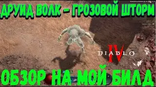 ОБЗОР НА МОЙ БИЛД ДРУИДА ЧЕРЕЗ ВОЛКА С ГРОЗОВЫМ ШТОРМОМ В DIABLO 4